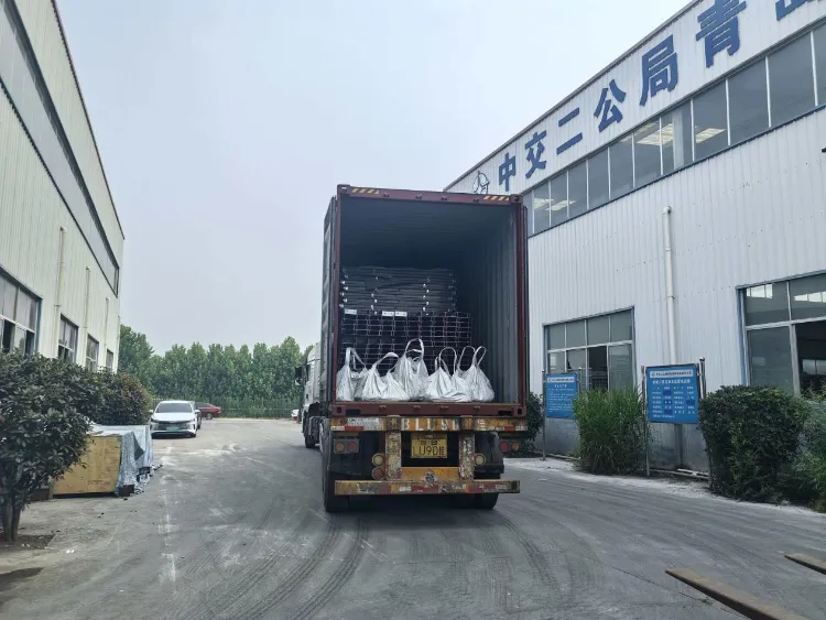 青島Liweiyuan鉄骨構造物がアイスランドの顧客に養殖場用のカスタム鋼部品を納品